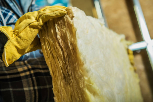 Best Insulation Replacement Services  in De Soto, IA