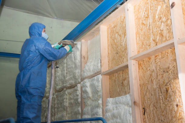 Best Spray Foam Insulation  in De Soto, IA